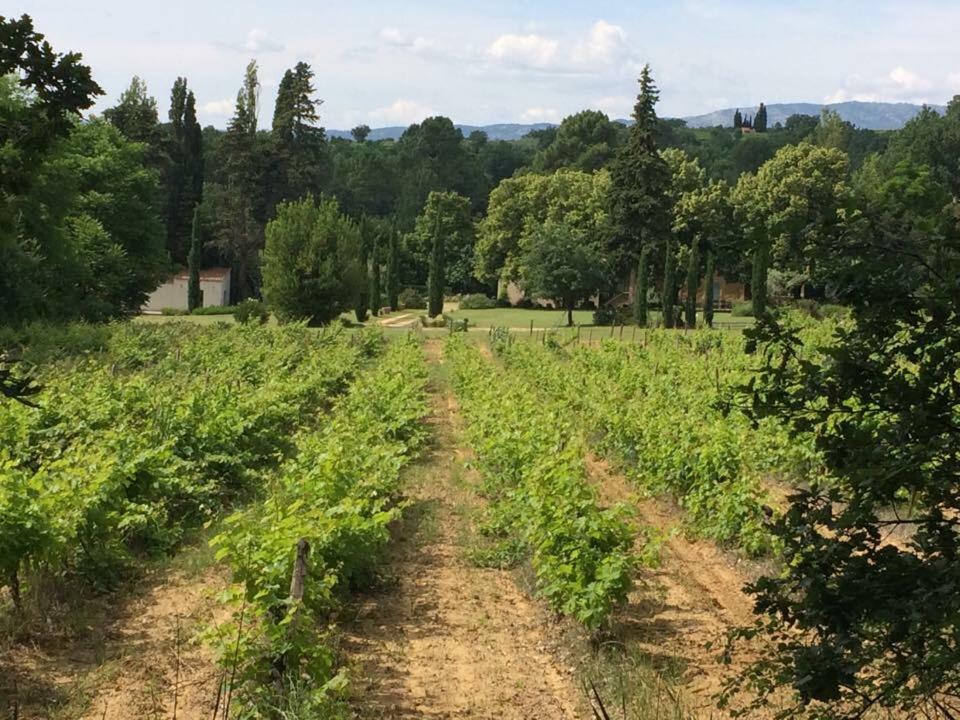 Mas Boudeissoun - Grain De Muscat - Baignade A 600 M Βίλα Mormoiron Εξωτερικό φωτογραφία